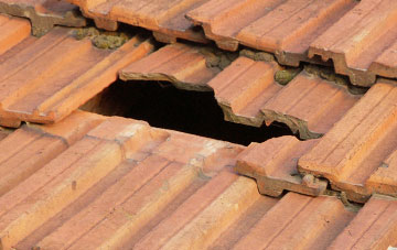 roof repair Staffield, Cumbria